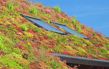 Styrrup living roof systems